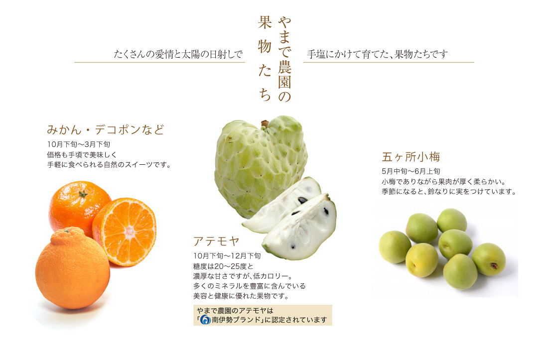 山出農園の産品たち