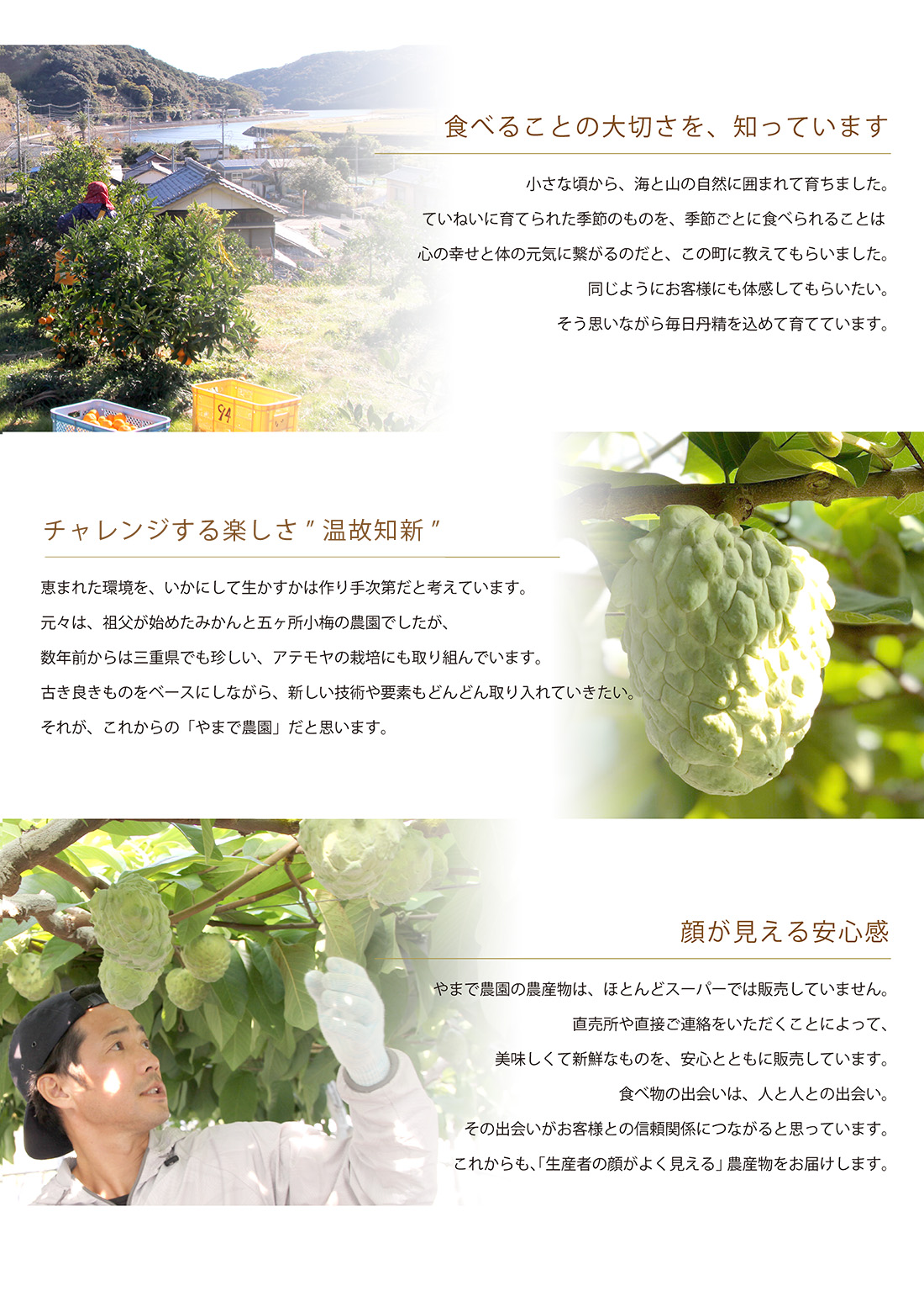 五ヶ所小梅の1年