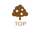 トップ