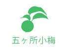 五ヶ所小梅